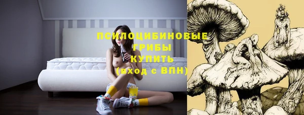 первитин Вязники