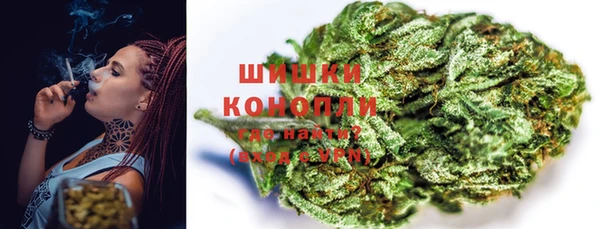 дурь Горняк